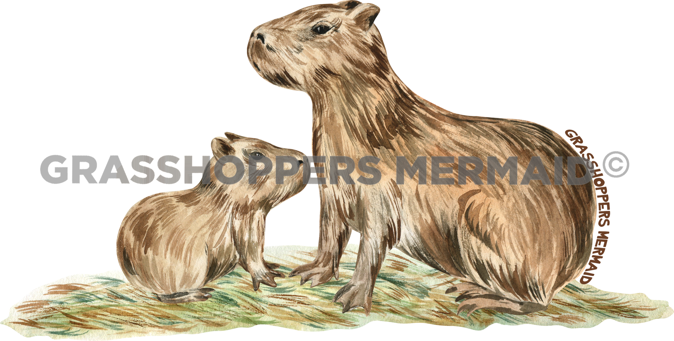 Watercolor Capybara Family