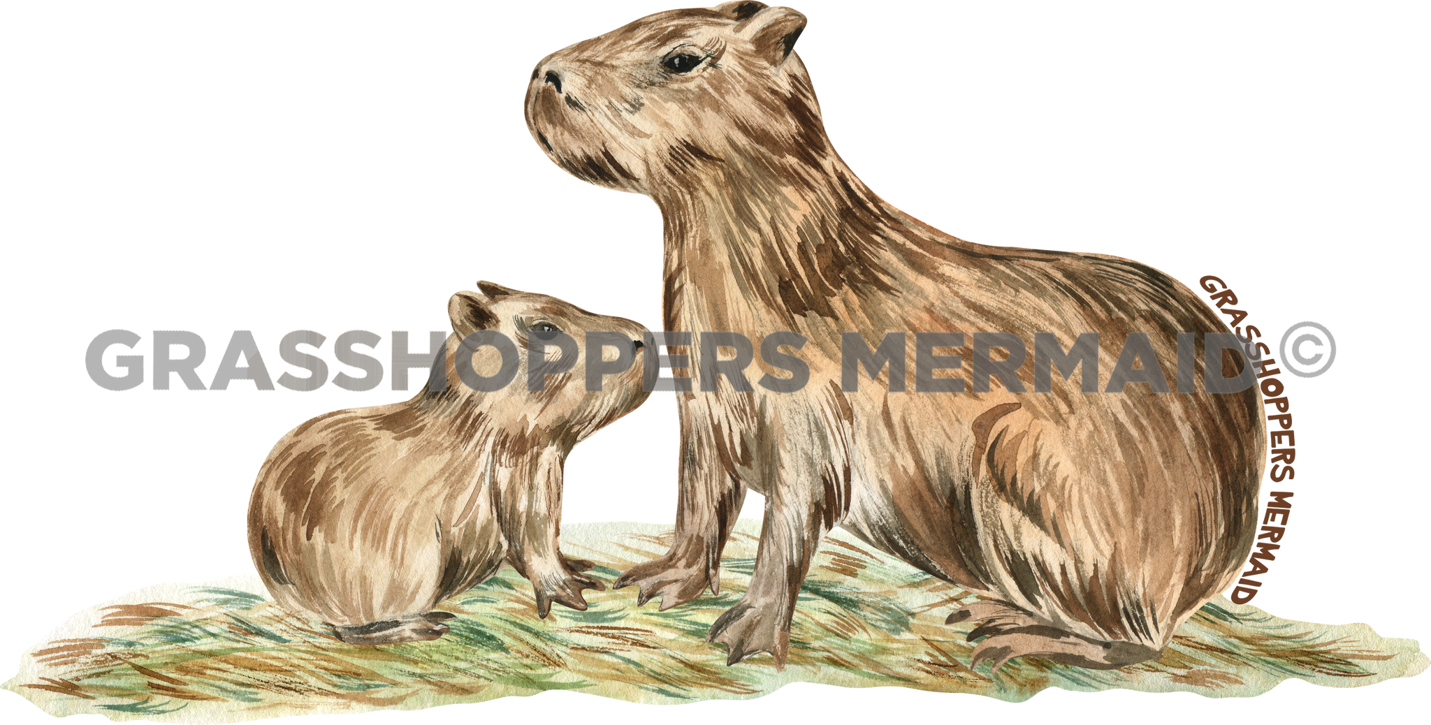 Watercolor Capybara Family