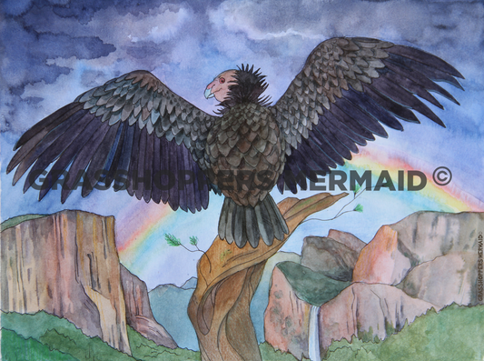 Watercolor Condor Rainbow