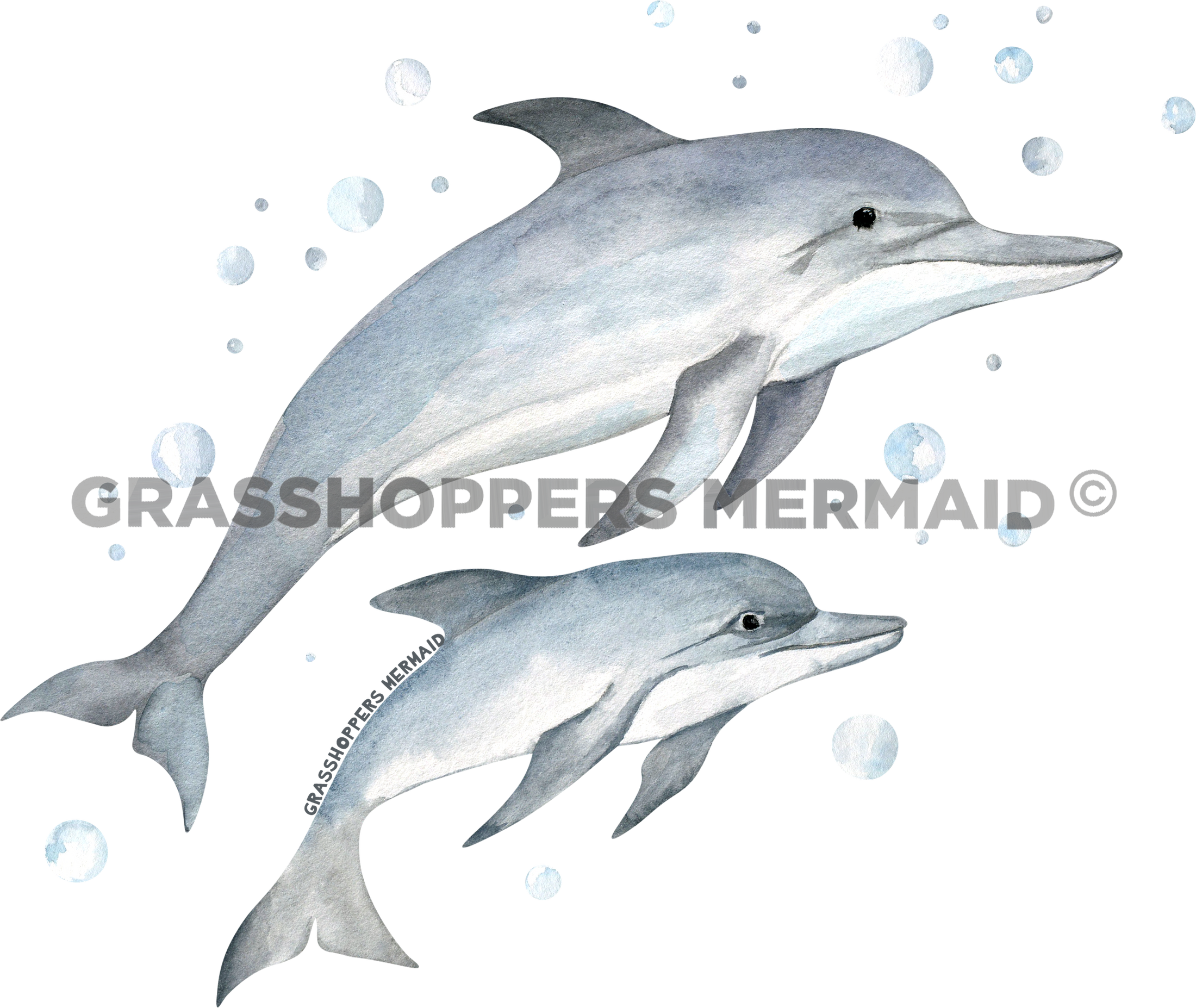Watercolor Dolphin Family