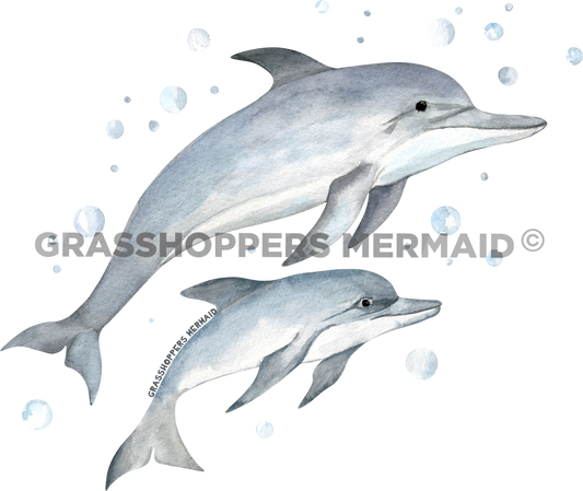 Watercolor Dolphin Family