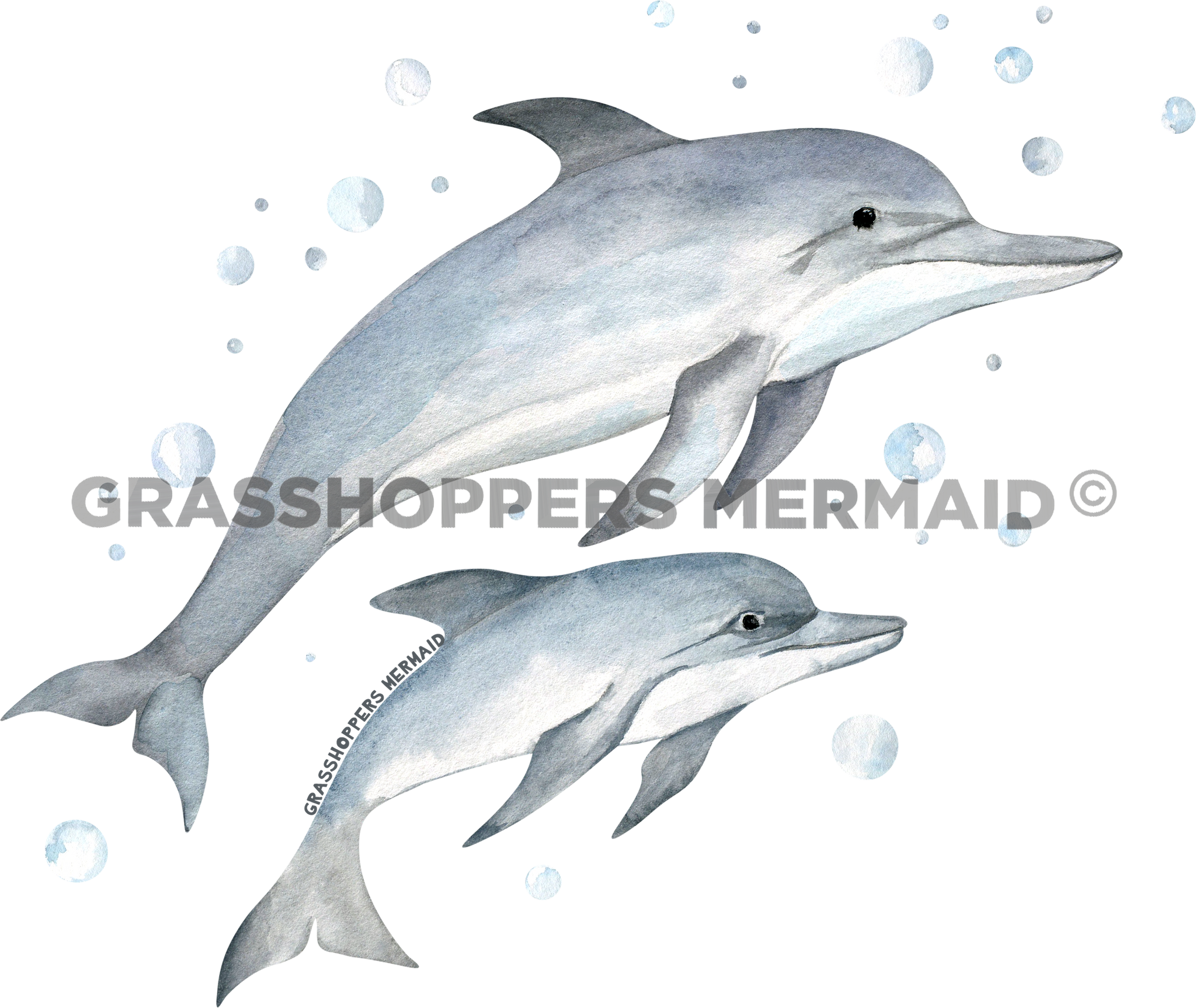 Watercolor Dolphin Family
