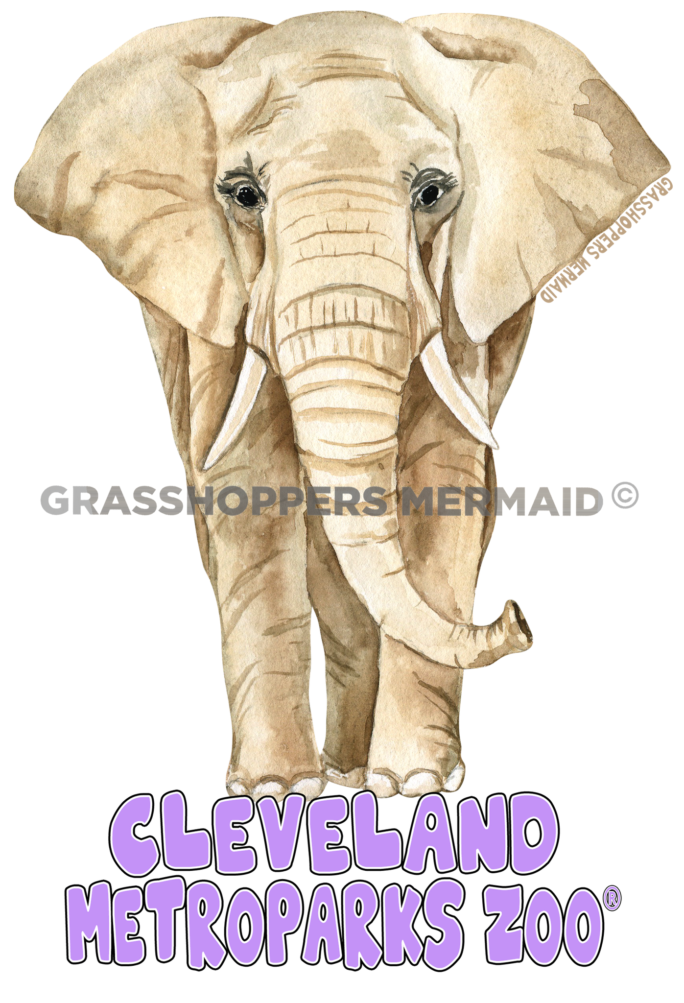 Watercolor Elephant