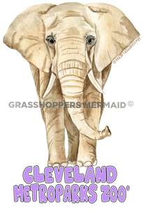 Watercolor Elephant