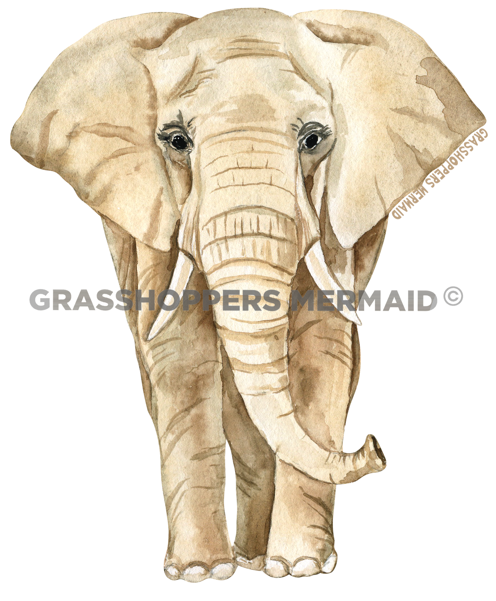 Watercolor Elephant