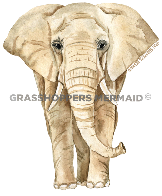 Watercolor Elephant
