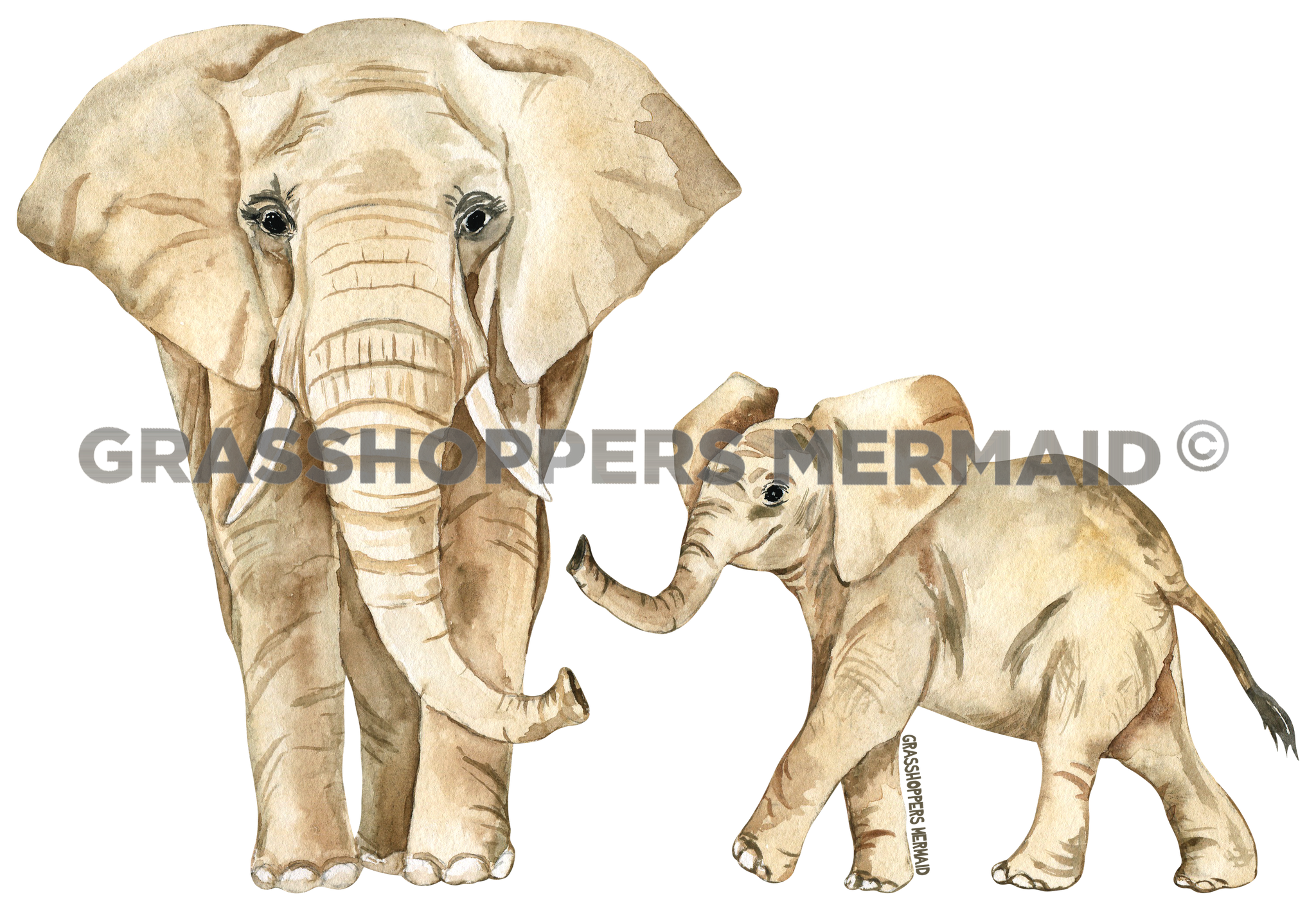Watercolor Elephant Family