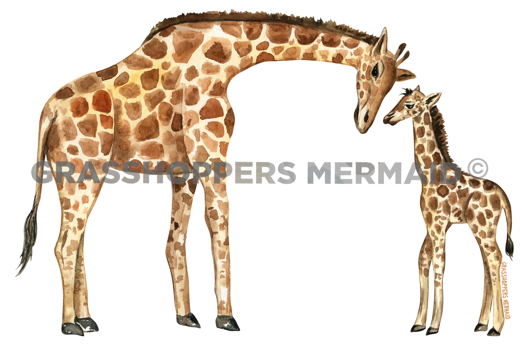 Watercolor Giraffe Family