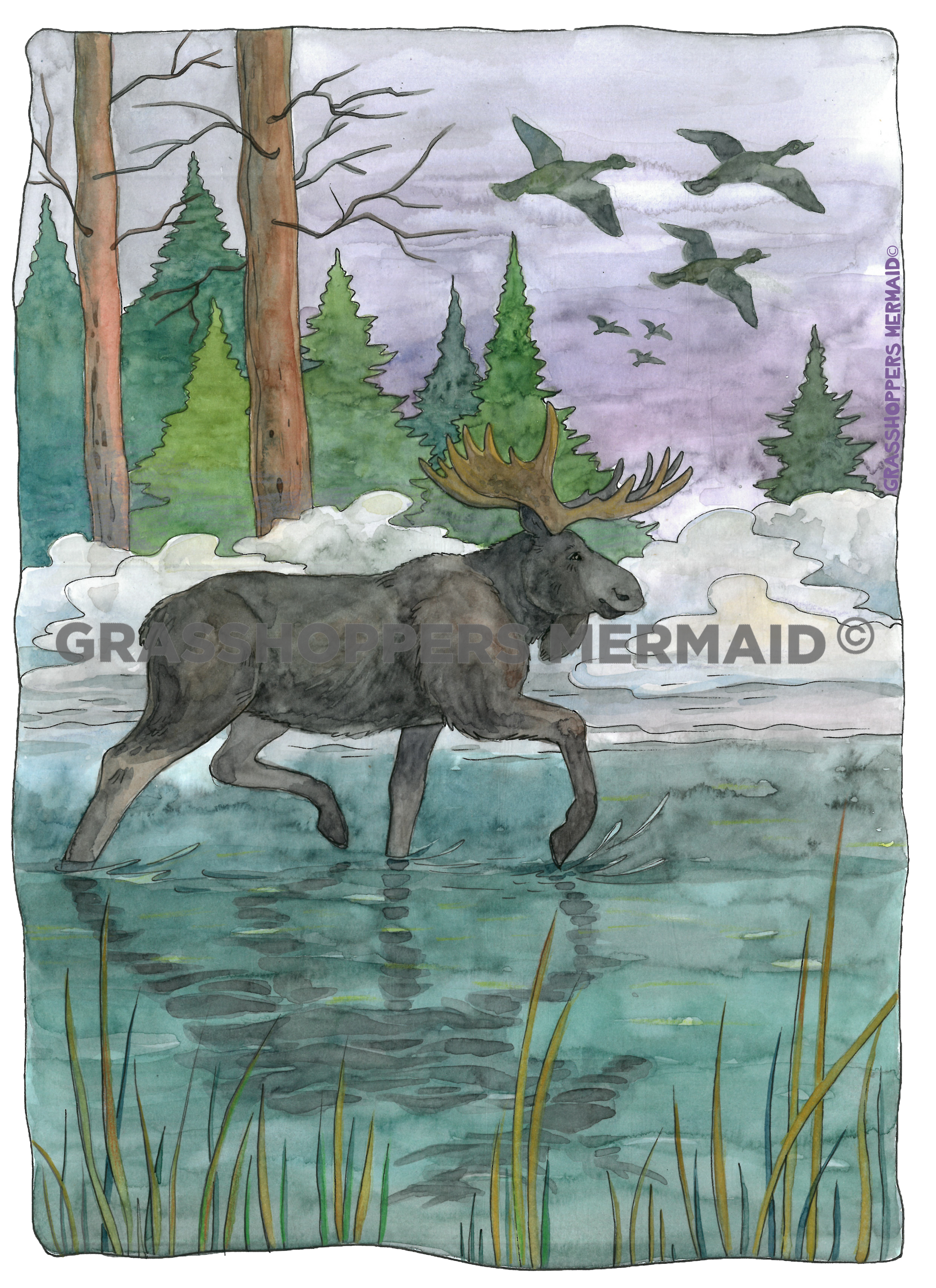 Watercolor Moose Marsh