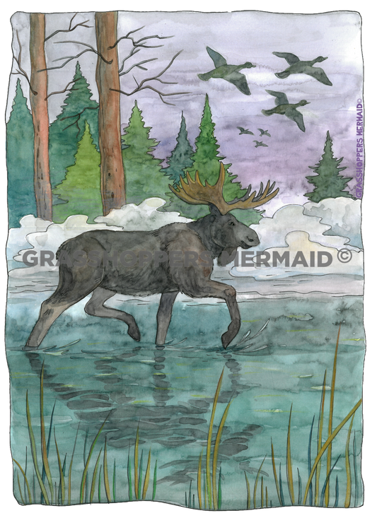 Watercolor Moose Marsh