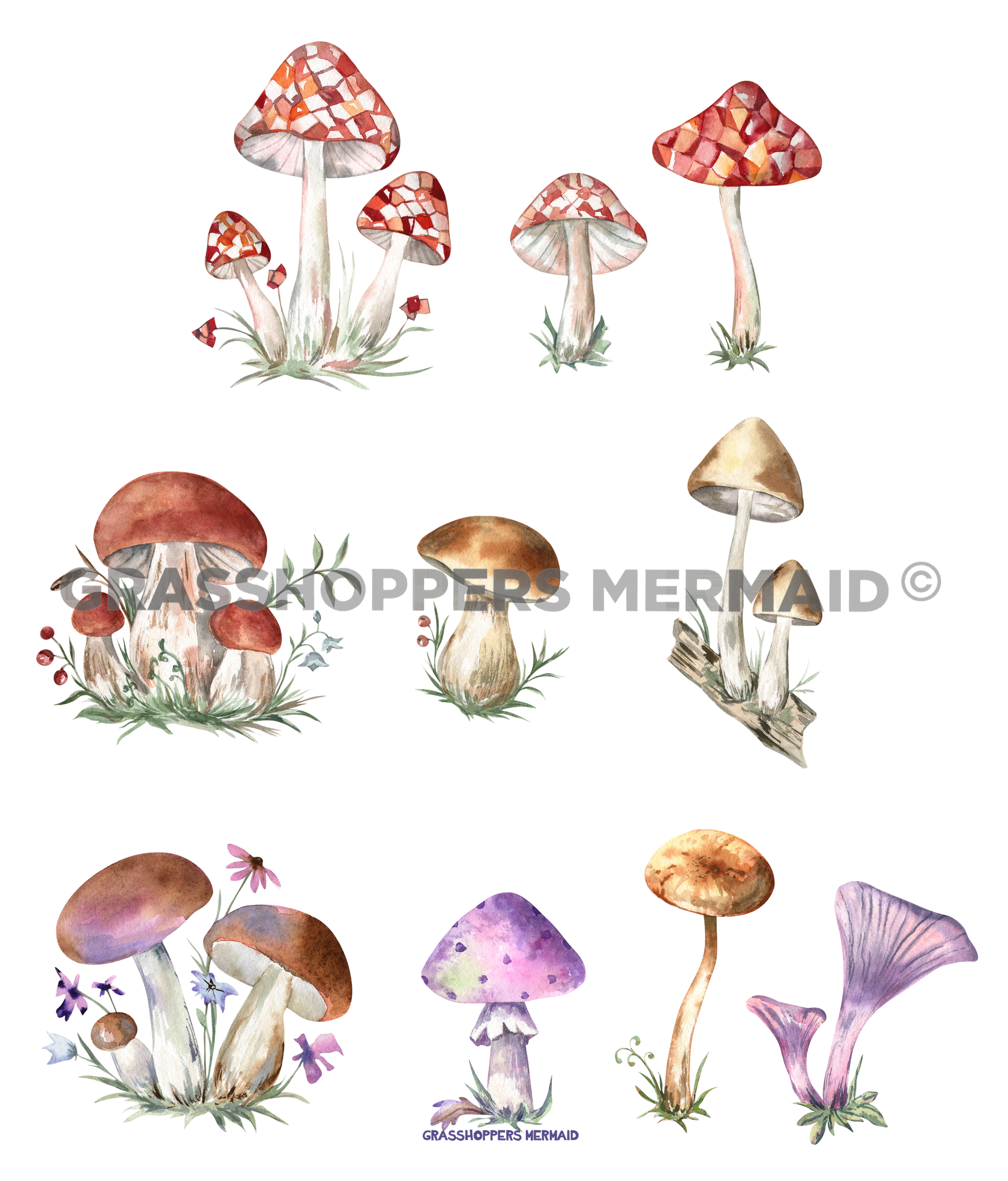 Watercolor Mushroom Collage