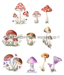 Watercolor Mushroom Collage