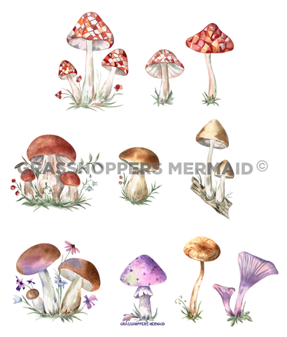Watercolor Mushroom Collage