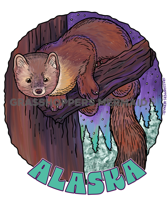 Watercolor Northern Lights Pine Marten