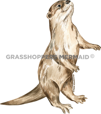 Watercolor Otter Tricks