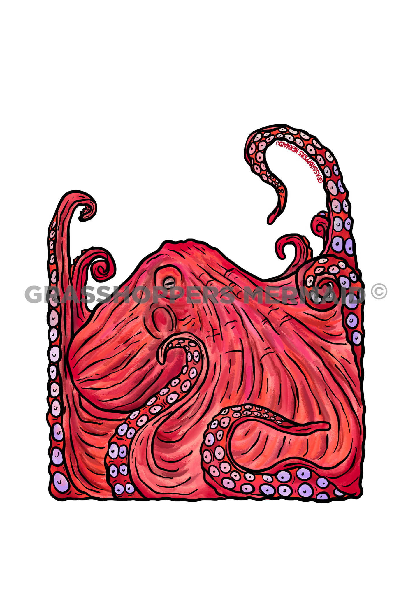Watercolor Pacific Octopus