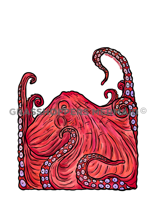 Watercolor Pacific Octopus