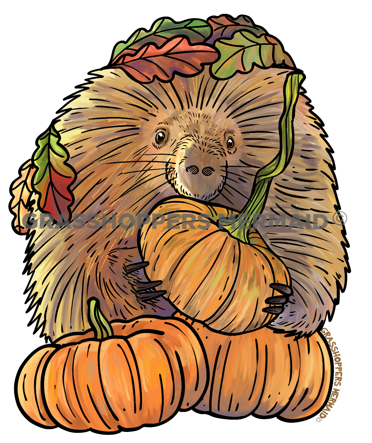Watercolor Porcupine Pumpkins