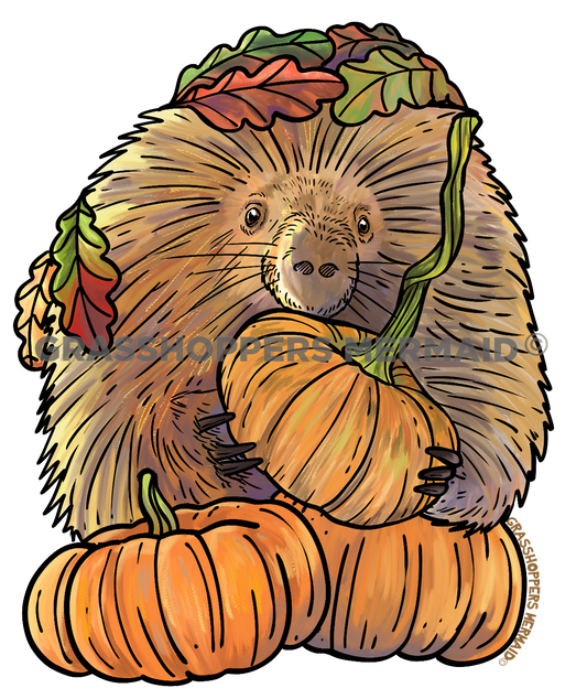 Watercolor Porcupine Pumpkins