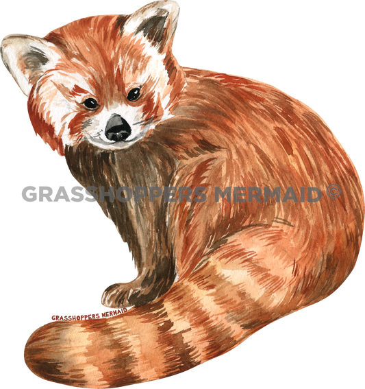 Watercolor Red Panda Momma