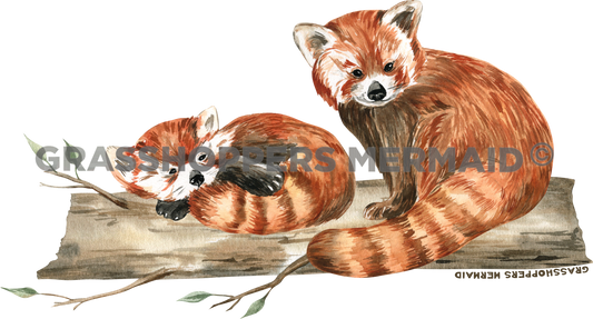 Watercolor Red Panda Nap