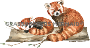Watercolor Red Panda Nap