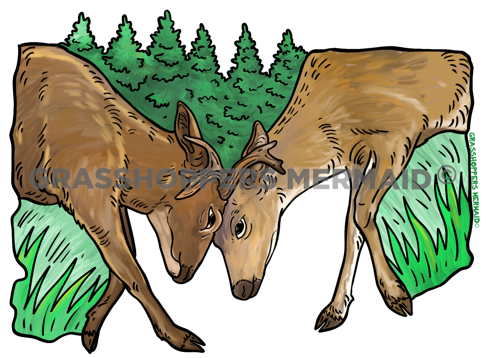 Watercolor Sitka Deer