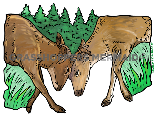 Watercolor Sitka Deer