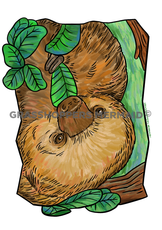 Watercolor Two Toed Sloth