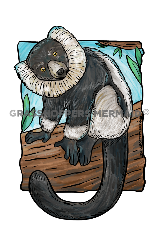 Watercolor Ruffed Lemur