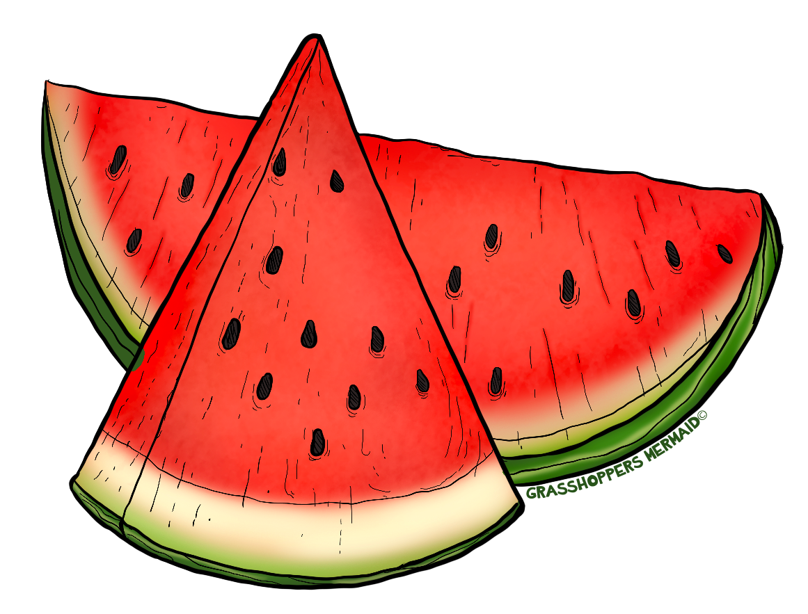 Watermelon Slices