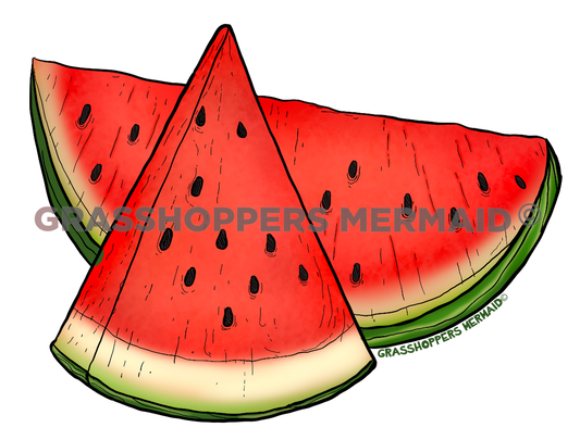 Watermelon Slices