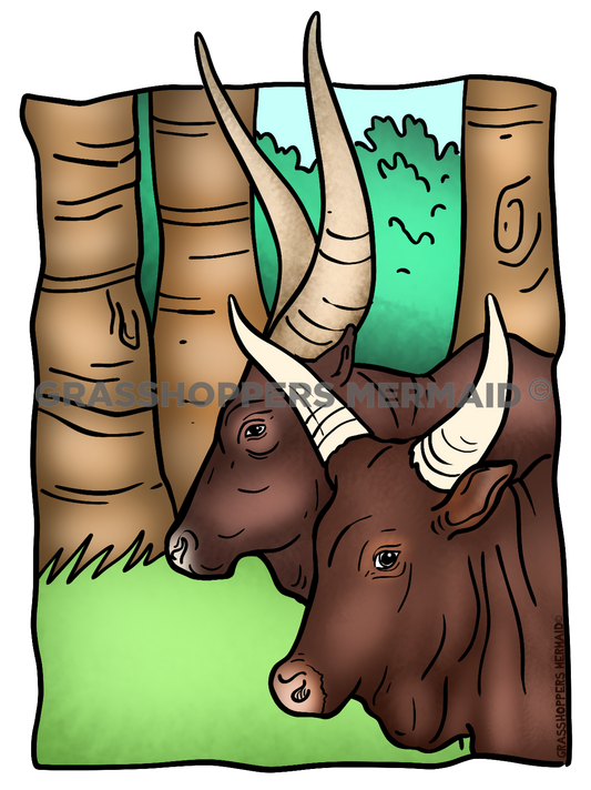 Watusi
