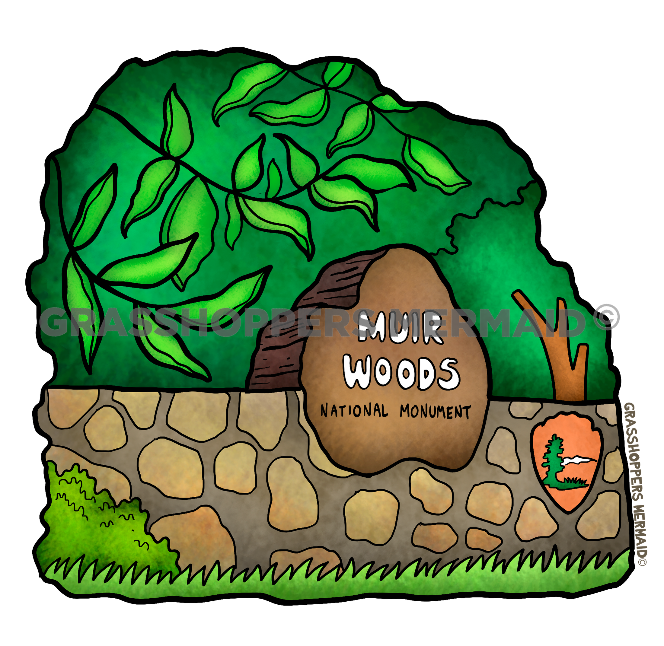 Welcome to Muir Woods