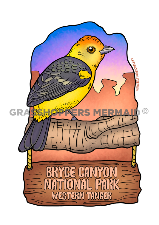Western Tanager