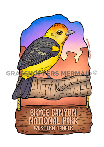 Western Tanager