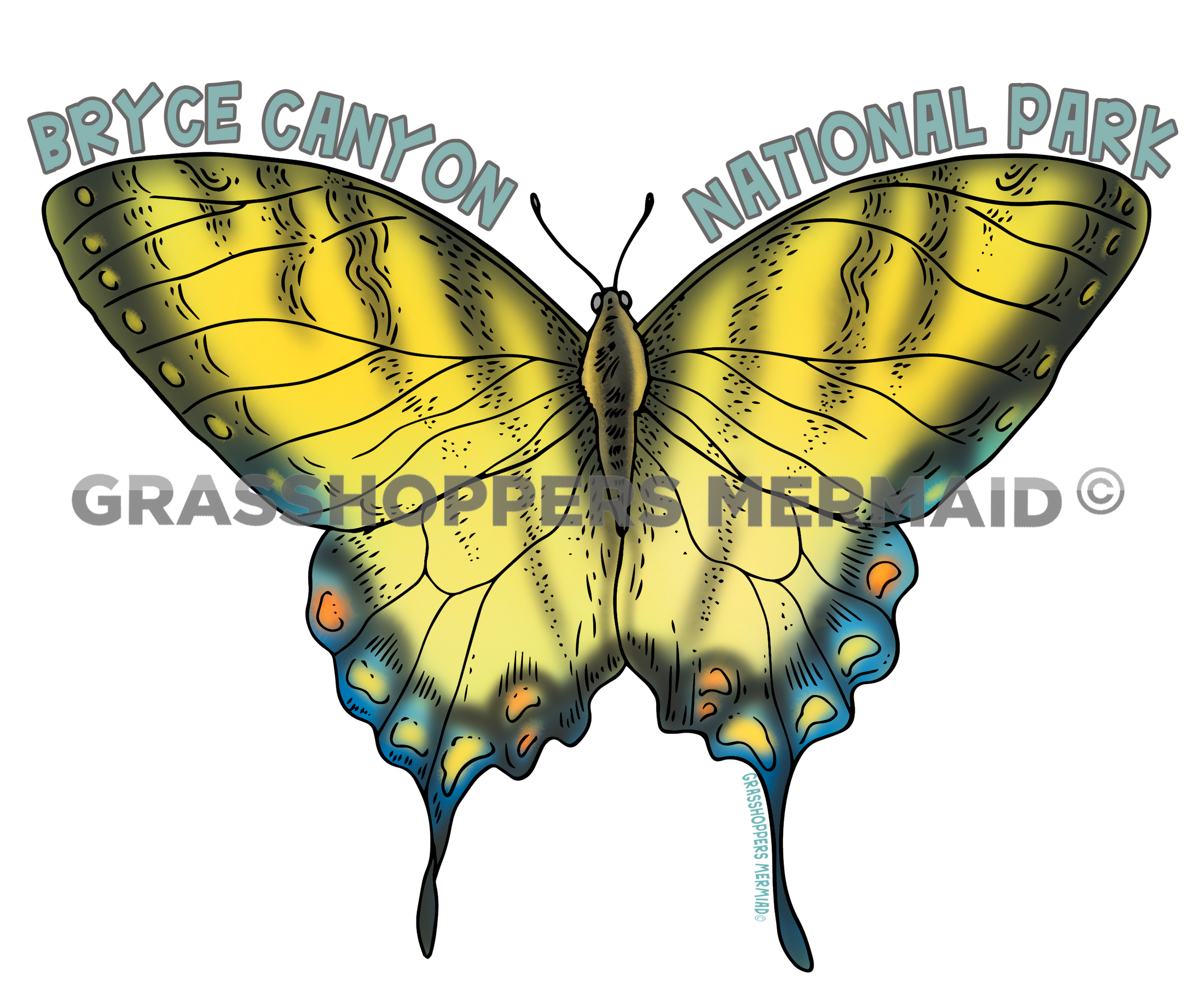Western Tiger Swallowtail
