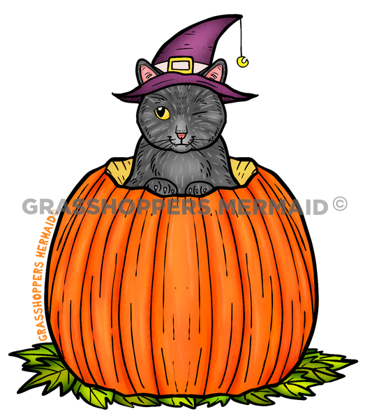 Winking Pumpkin Cat