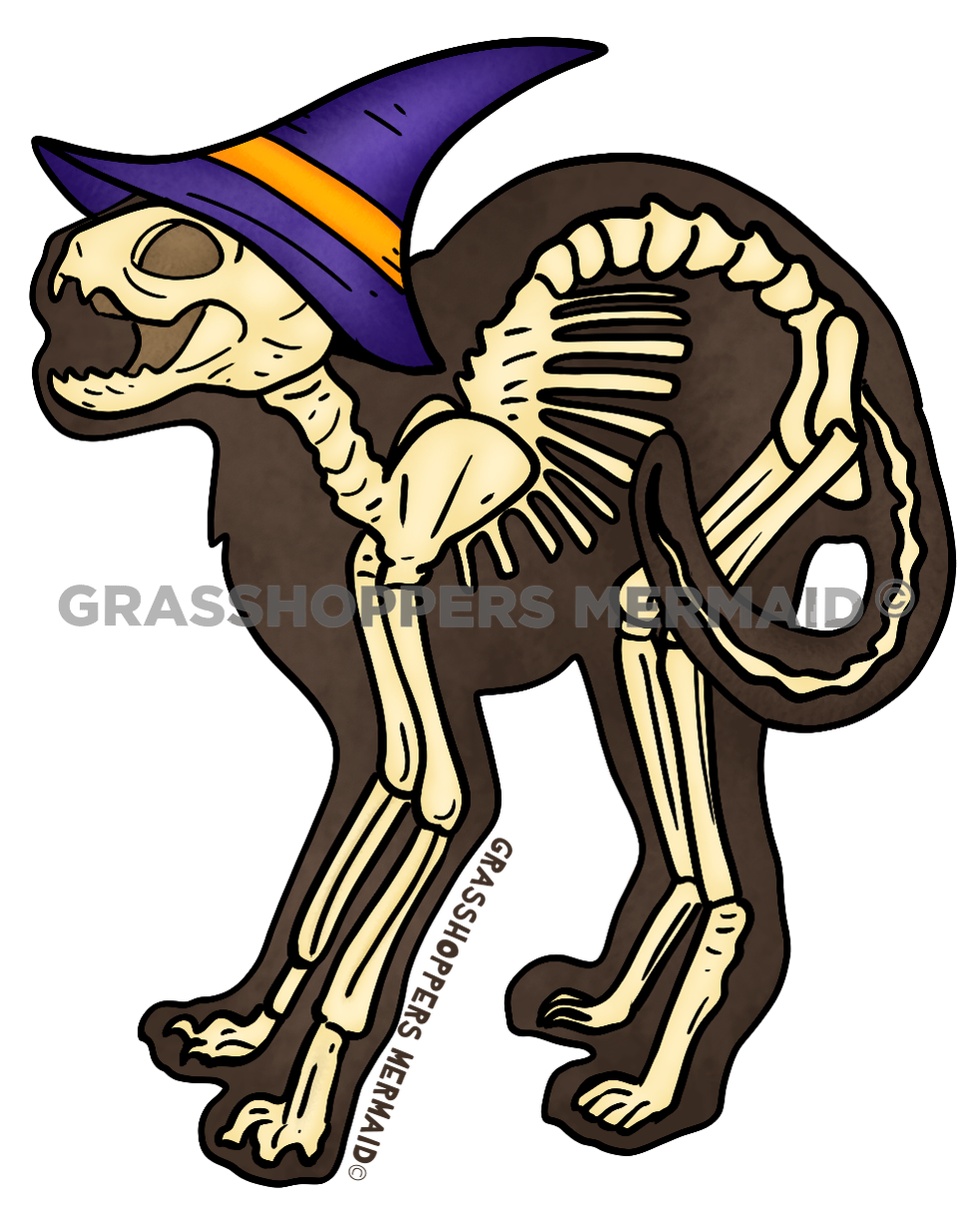 Witchy Cat Skeleton