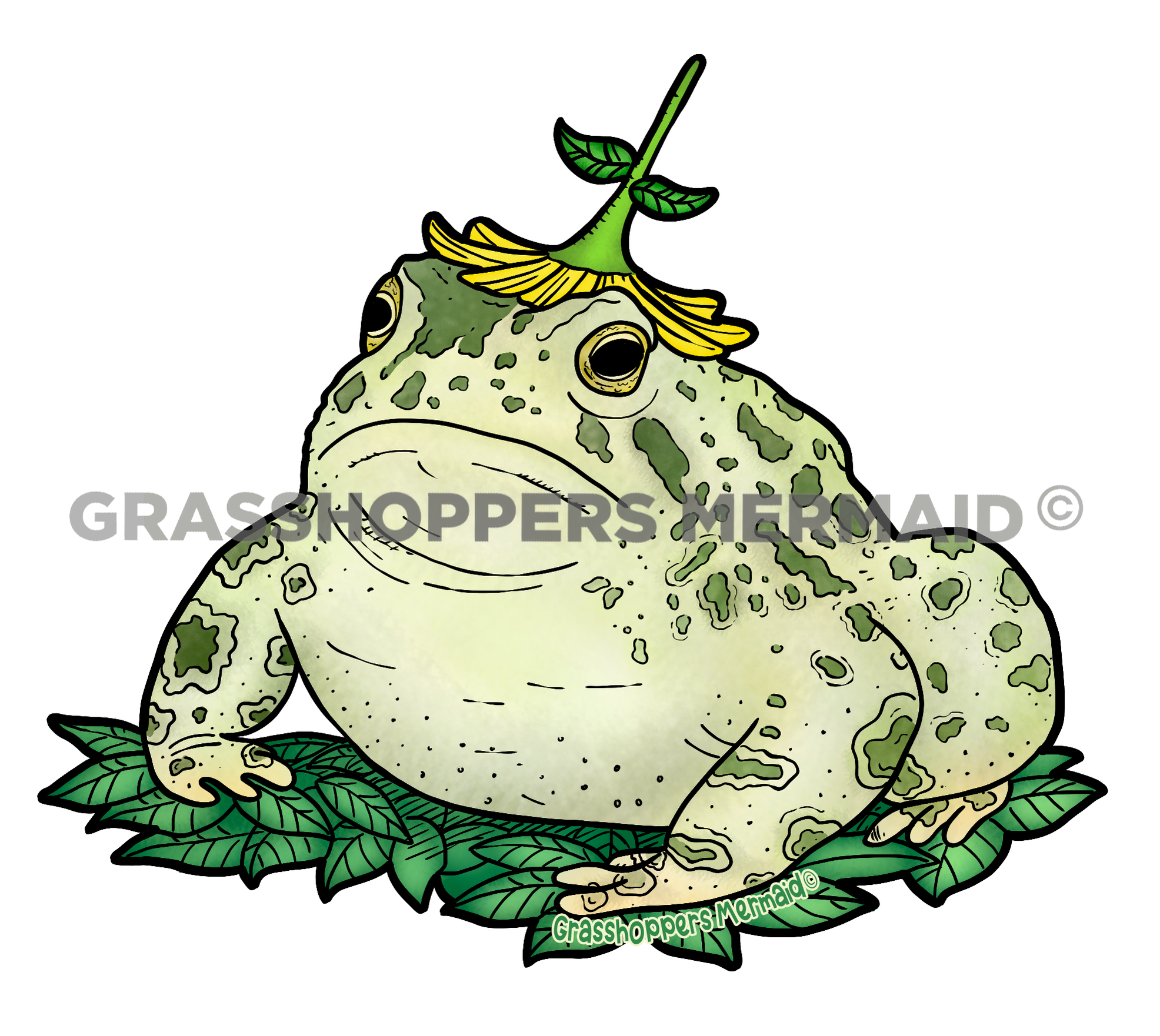 Woodhouse Toad