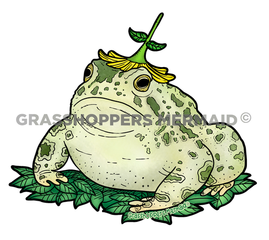 Woodhouse Toad