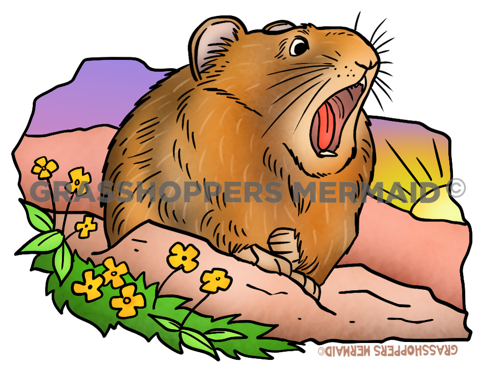 Yawning Pika