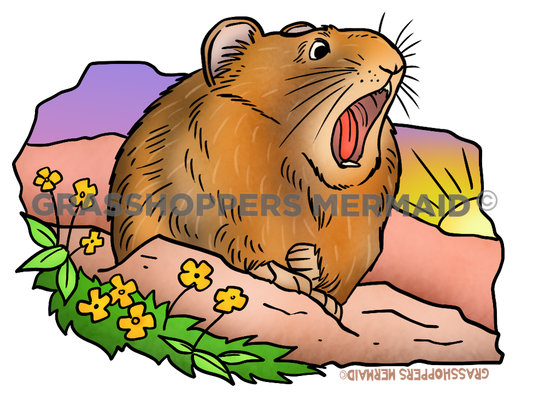 Yawning Pika