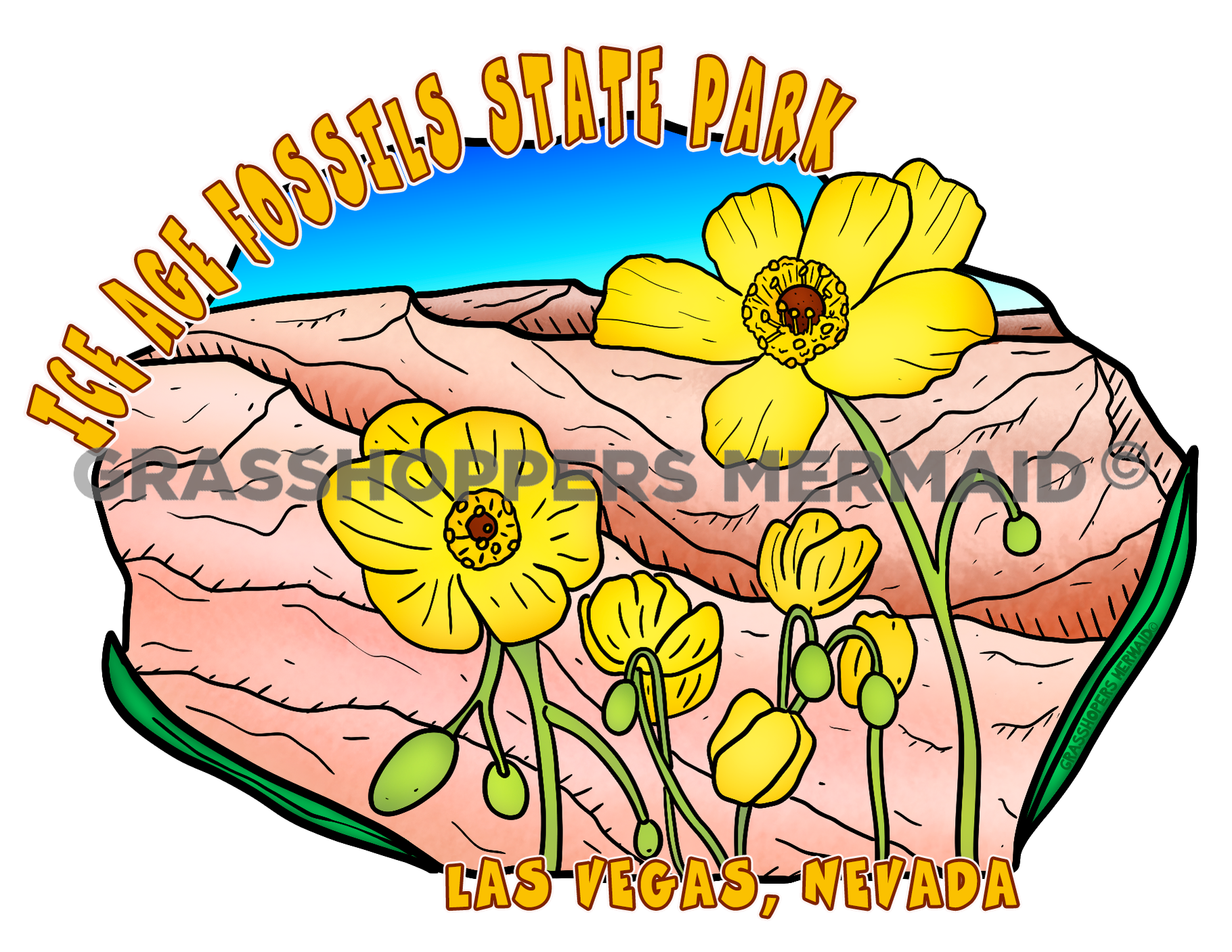 Yellow Bearpoppy