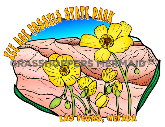 Yellow Bearpoppy