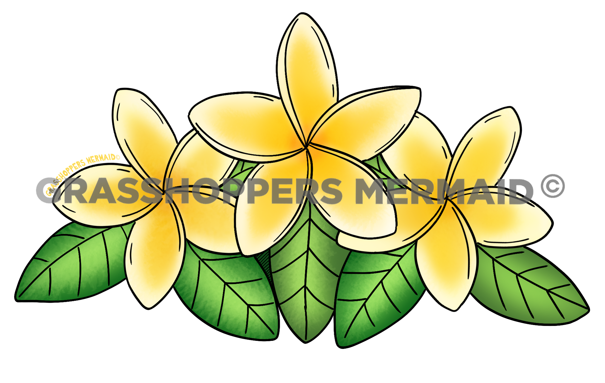 Yellow Plumeria Trio