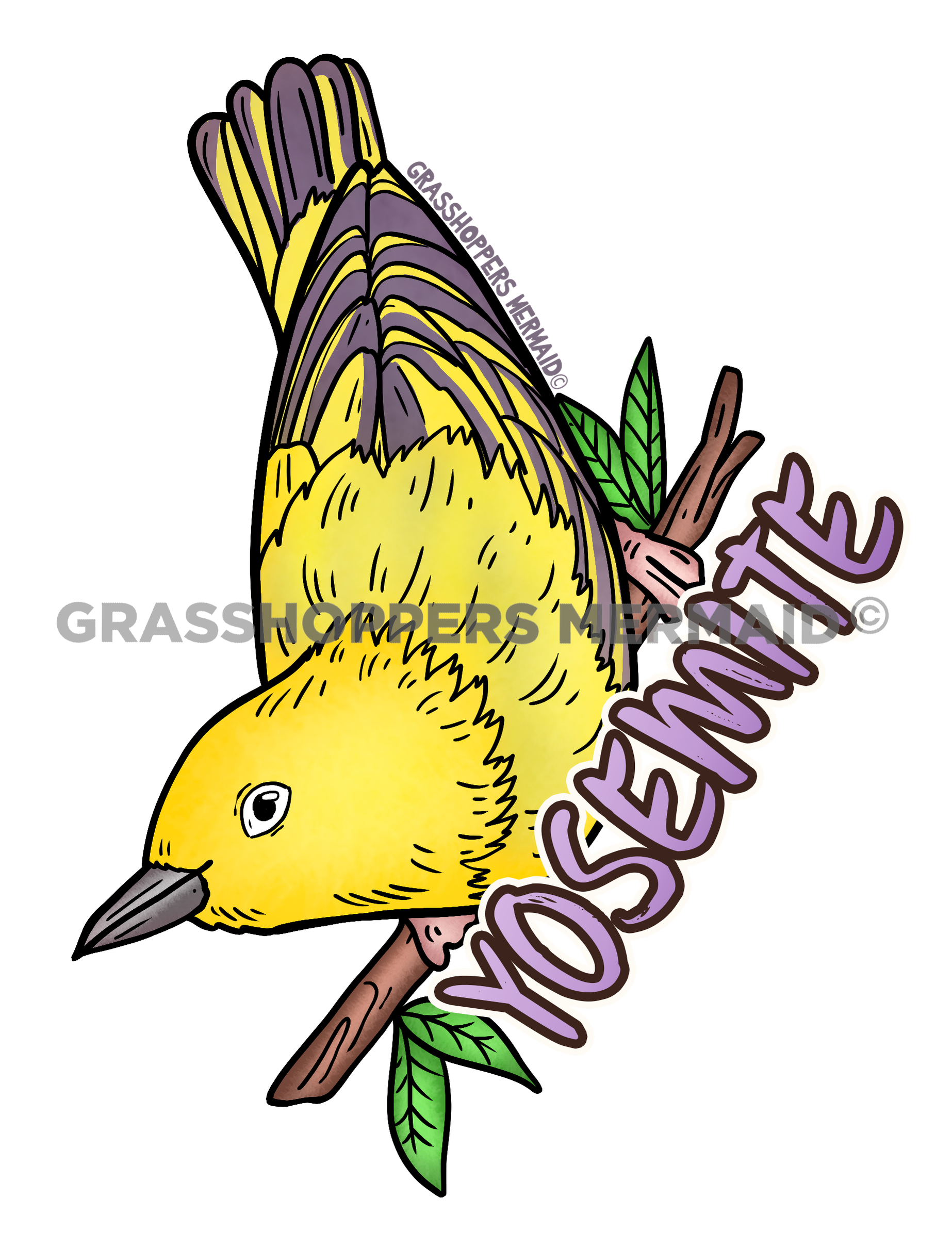 Yellow Warbler