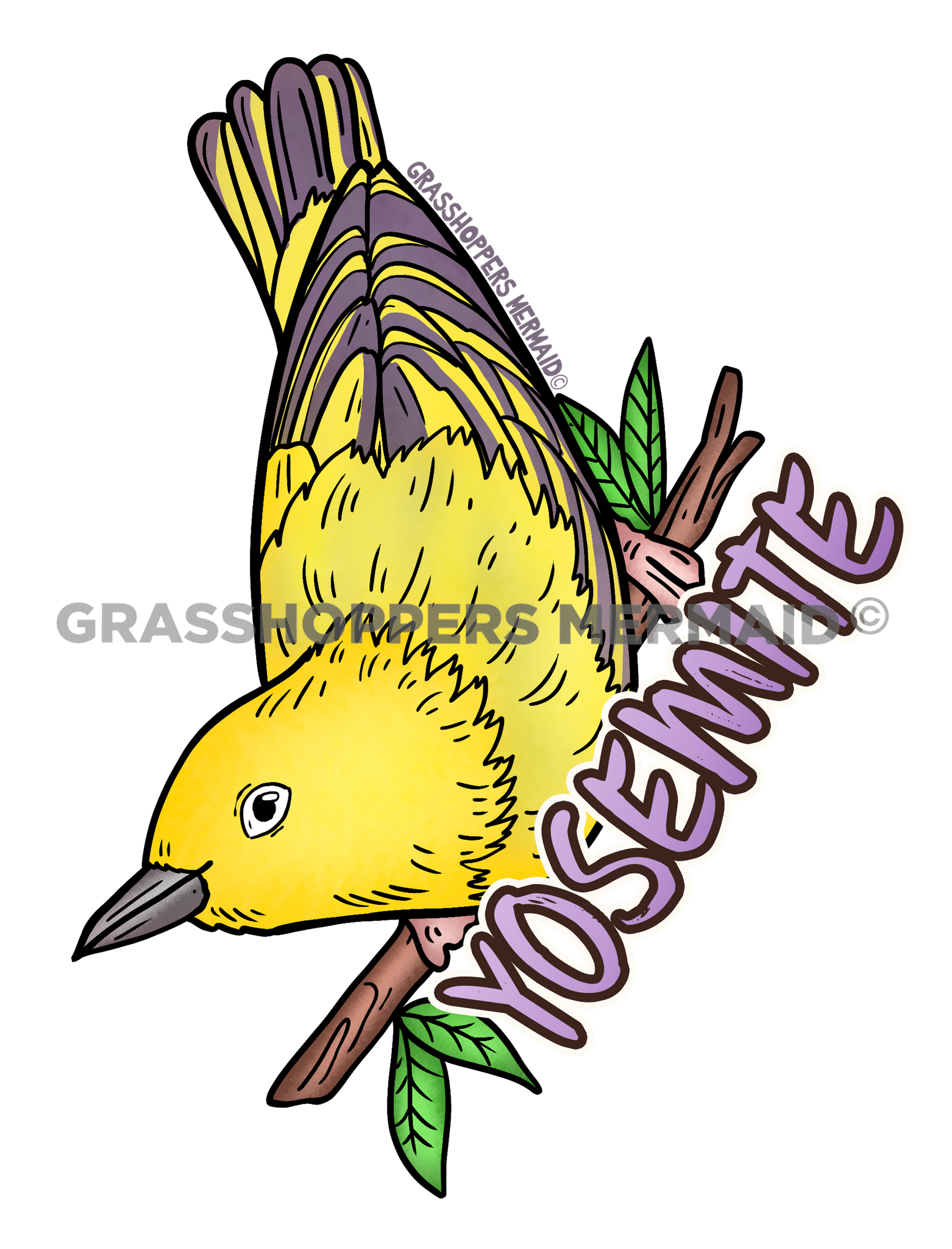 Yellow Warbler