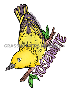 Yellow Warbler