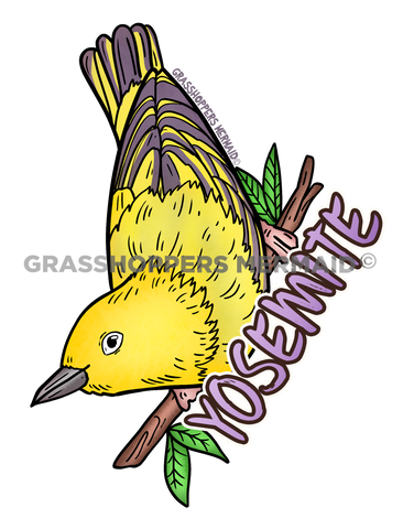 Yellow Warbler